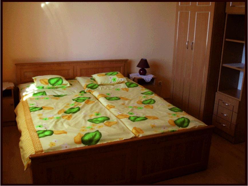 Erika Vendeghaz Hotel Buk Ruang foto
